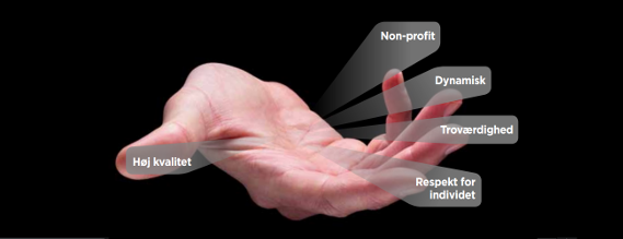 Nærbillede af hånd en af de fem værdier på hver finger.