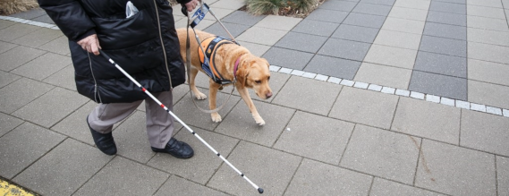 Foto af person der går med hvid stok og førerhund